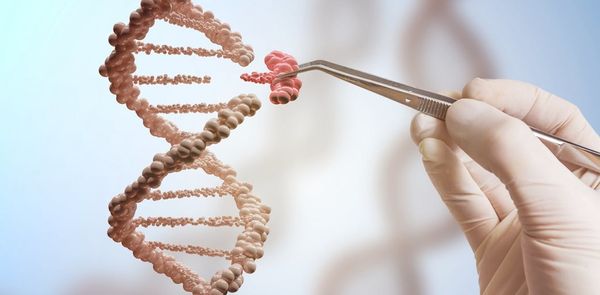 Harmful genetic mutations may be less common than we thought
