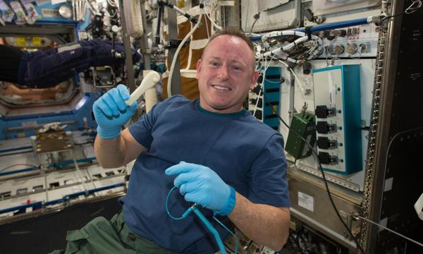 'It's about expanding Earth': could we build cities in space?
