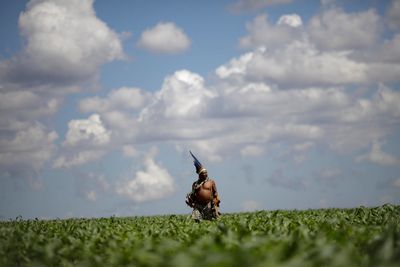 Brazilian tribes fined for GMO soy crops on reservations