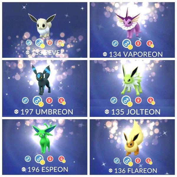 WHO'S YOUR FAMILY? SHINY EEVEE, SYLVEON E SHINY VAPOREON NO