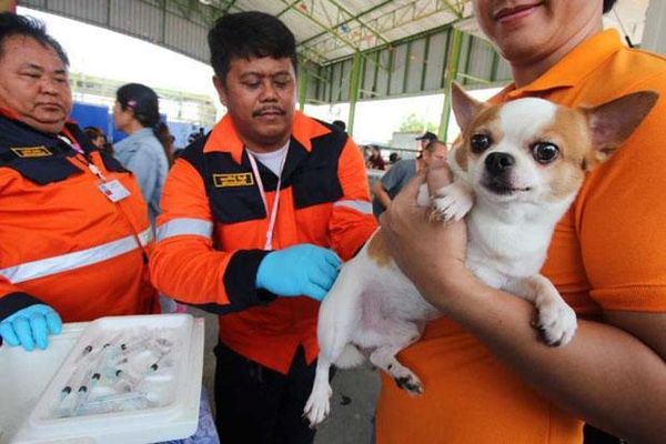 Agriculture minister apologises for pets bill