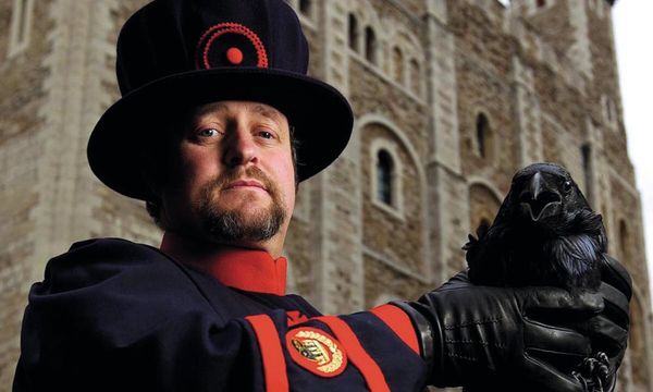 The Ravenmaster by Christopher Skaife review – my life at the Tower of London