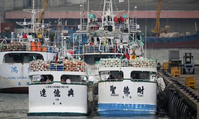 Taiwan’s Tuna Vessels Caught Illegally Shark Finning, Killing Dolphins & Turtles