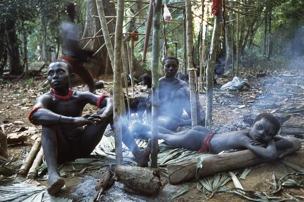 jarawa tribe physical appearance