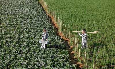 Vietnam Newlyweds Become 'Inmates for Life' in This Viral Photo Shoot