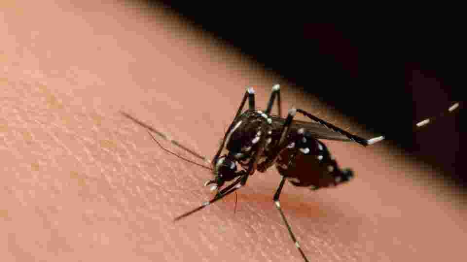 Healthwise Why outbreaks occur, and how to stop them