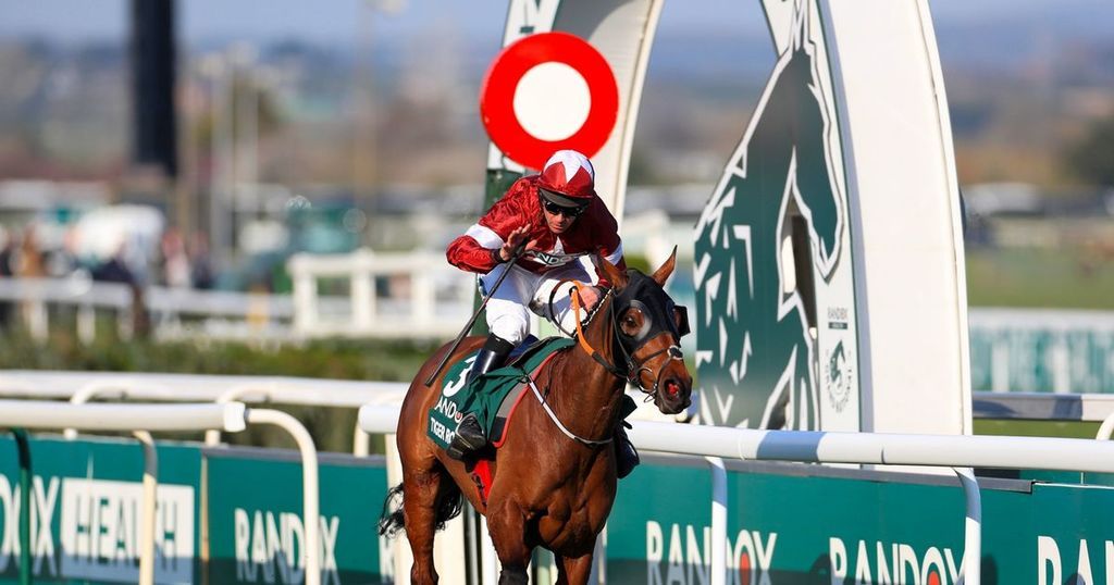 Tiger Rol You Back The incredible moment Tiger Roll made history in the…