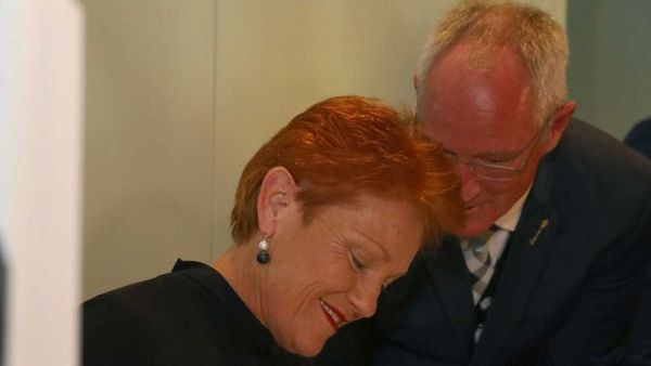 One Nation strip club antics reignite differences in parties' preferences