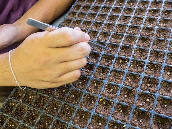 The Weakening Of Big Bank Regulations Under Trump Is The Seed For The Next Financial Crisis