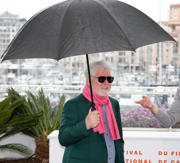 Almodovar and dark comedy 'Parasite' in spotlight as Cannes closes