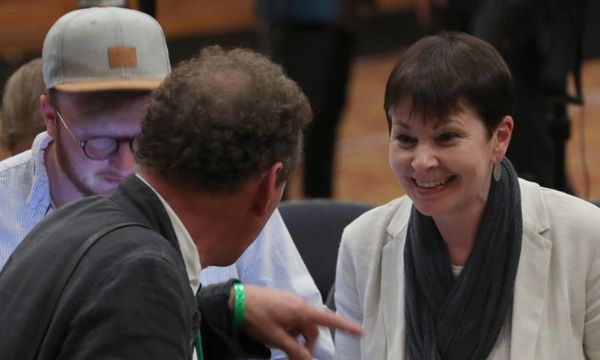 Green party celebrates EU result as it pushes Tories into fifth place