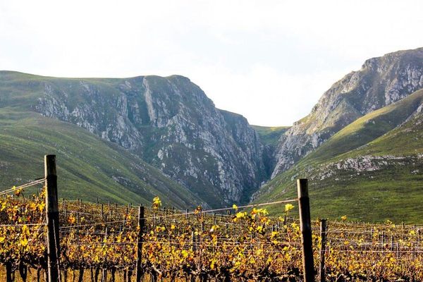 Sanford & Benedict: Exploring Cool Climate Chardonnay and Pinot Noir
