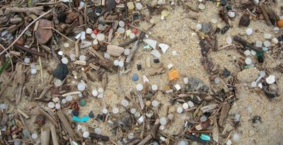 Nurdle by Nurdle, Citizens Took on A Billion-Dollar Plastic Company — and Won