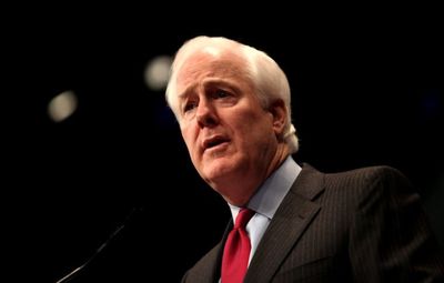 John Cornyn’s Democratic Challengers Feel a Little Familiar