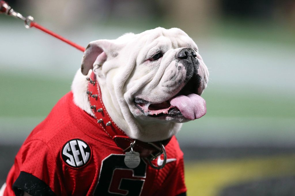 UGA to give Charlotte record payout for 2025 game