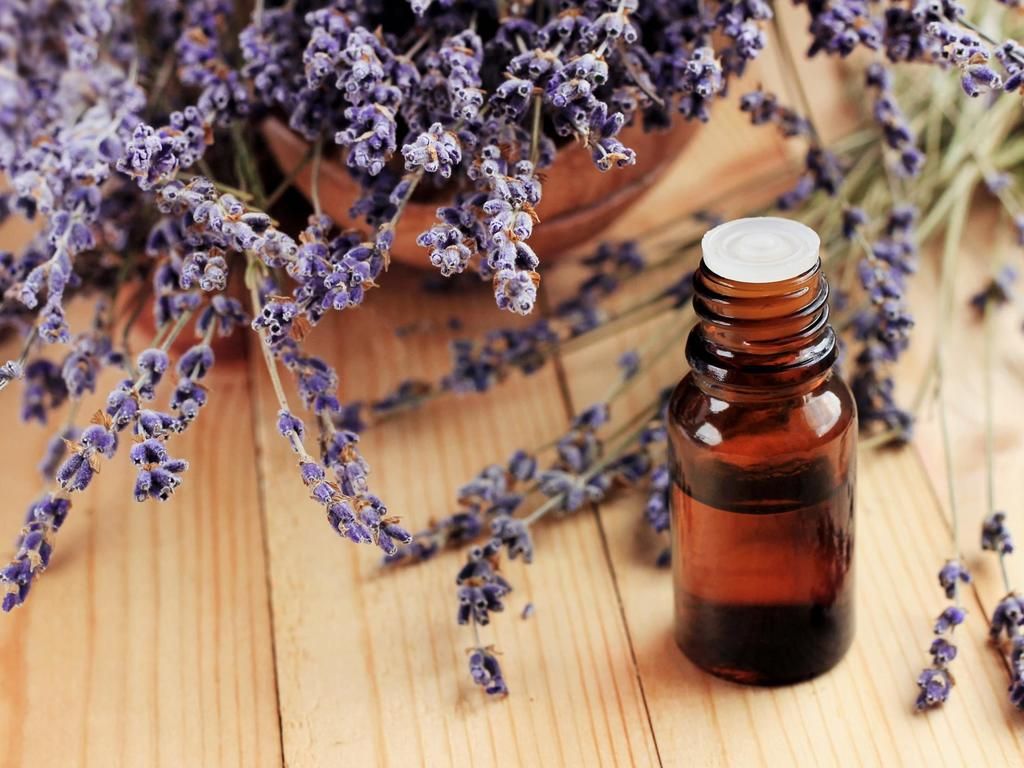 Lavender oil could cause abnormal breast growth in…