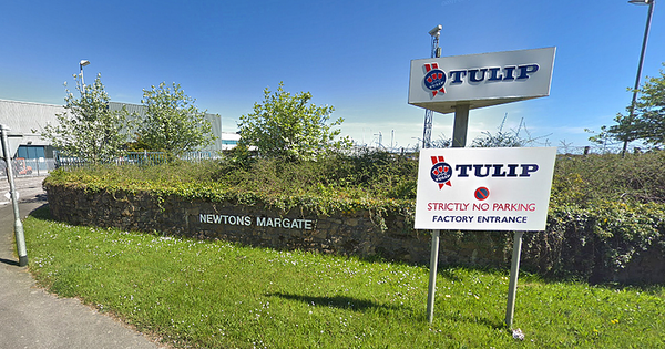 Meat processing plant Tulip sold for £290million