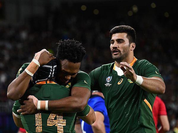 Rugby World Cup 2019: Cheslin Kolbe stars as South Africa thrash fourteen-man Italy