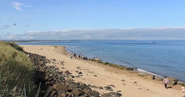 Future of Northumberland coast could 'profoundly change' says chief officer