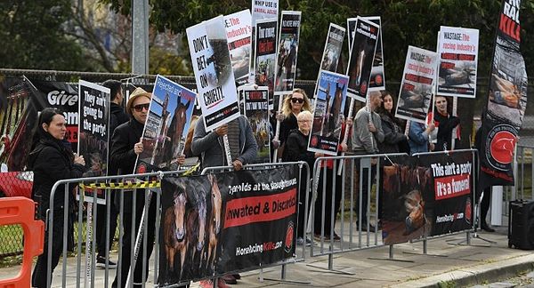 How do we create responsibility in horse racing?