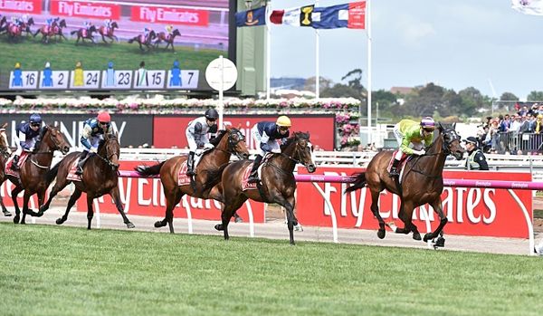 Probe ordered into 'industrial' slaughter of Aussie racehorses