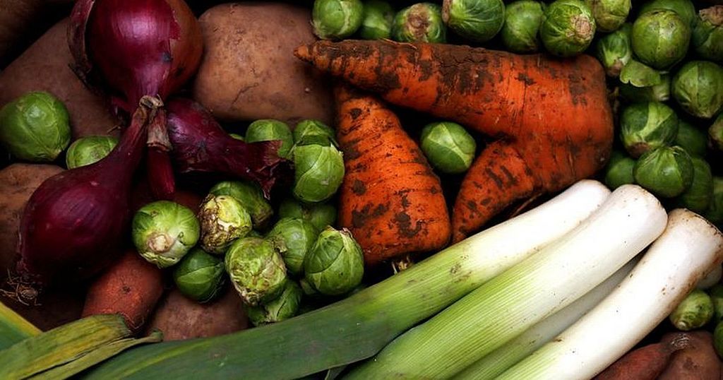 What a vegan diet does to your body and what the NHS…