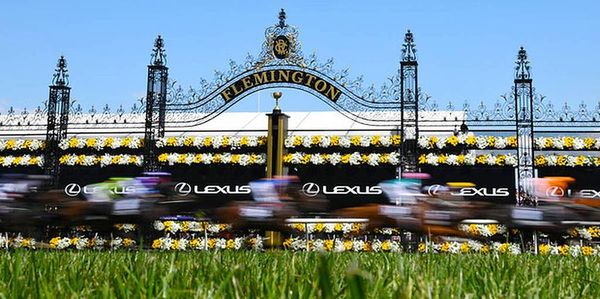 2019 Melbourne Cup at Flemington: Ultimate form guide - Horses, field, odds, tips, best bets, start time, how to watch and live streaming