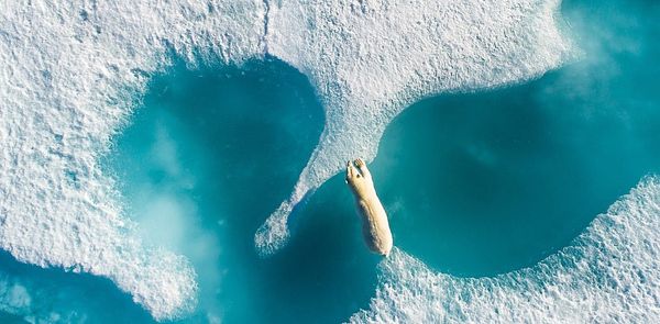 Scientists looked at sea levels 125,000 years in the past. The results are terrifying