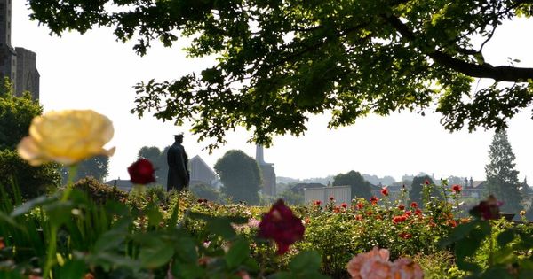Remembrance Day 2021: The war monuments and mementos in and around Bristol