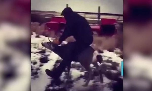 Video showing man riding on back of deer leads to arrest