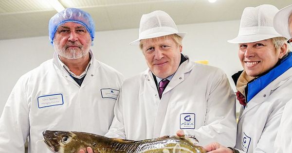 General election: What happens now if Jeremy Corbyn, Boris Johnson or no one win