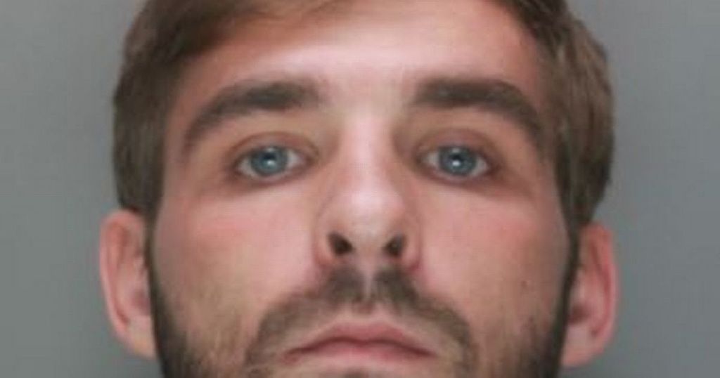 Owner jailed after dog attacked 10yearold boy and…