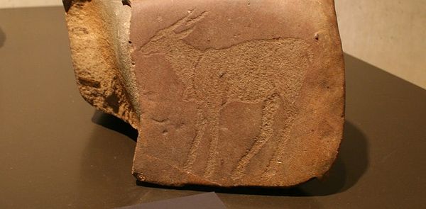 Ancient southern African rock engravings finally find a fitting home