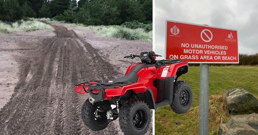 Quad bikers causing 'horrific' damage to wildlife at…