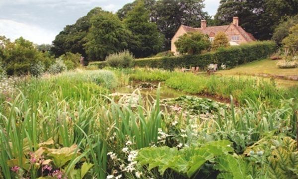 Gardens: the all-seasons plot