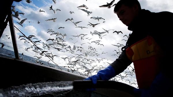 EU, France insist on fishing rights in post-Brexit talks with UK