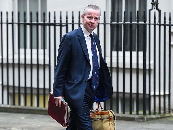 Brexit: Anger as Michael Gove claims UK doesn't 'need' trade deal with EU