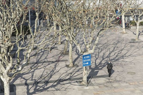 China Lets Local Governments Sell More Debt Early Amid Outbreak