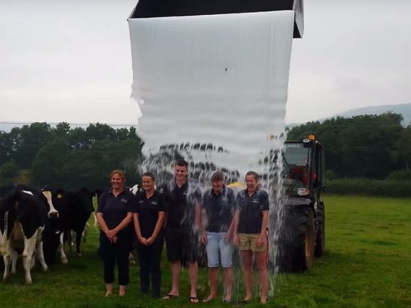 Milk Bucket Challenge: Farmers drench themselves in the dairy product in latest protest against low prices