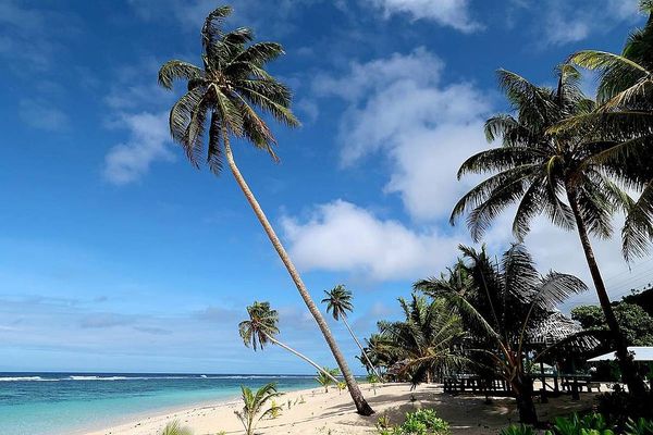 Coronavirus: Pacific Islands-bound passengers face health, temperature checks at Auckland Airport