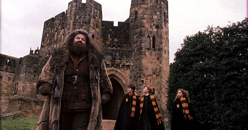 Harry Potter's Robbie Coltrane Seen In A Wheelchair…