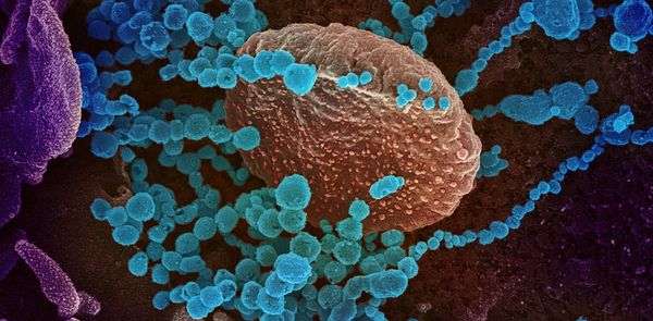 Coronavirus: A new type of vaccine using RNA could help defeat COVID-19