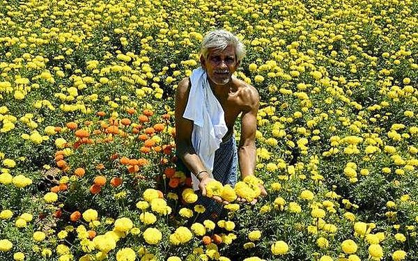 A business that’s no longer blooming