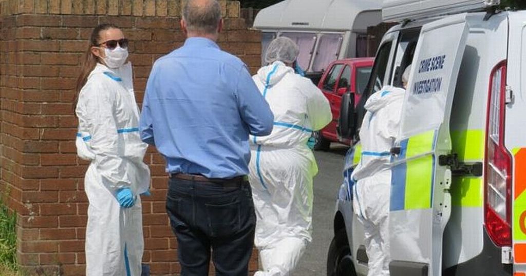 Murder arrest after man's body discovered in house
