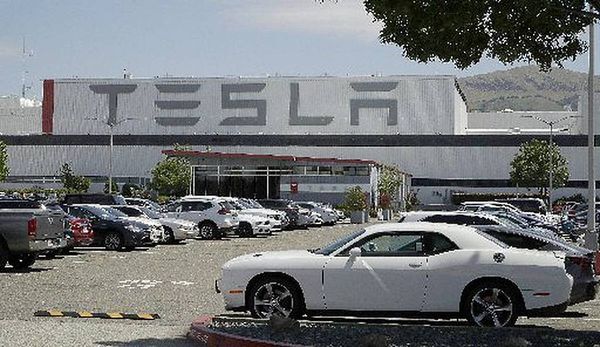 Covid 19 coronavirus: Tesla CEO Elon Musk restarts California factory during lockdown