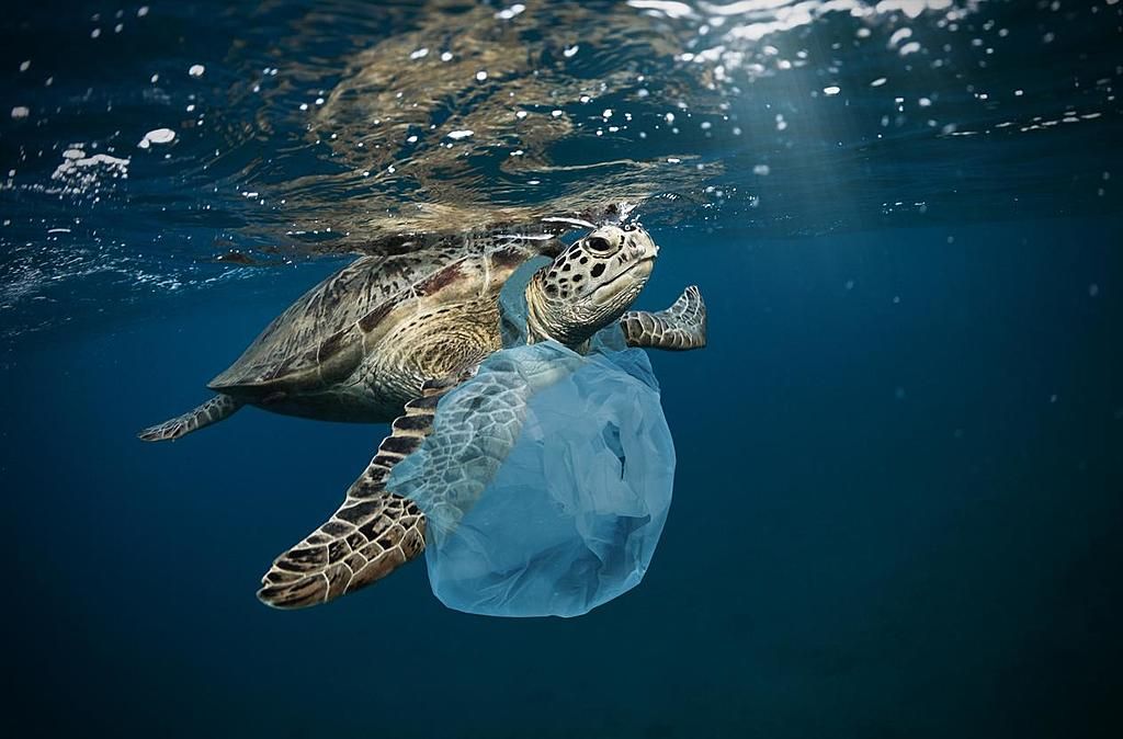 Thousands of tonnes of ocean microplastics could be…