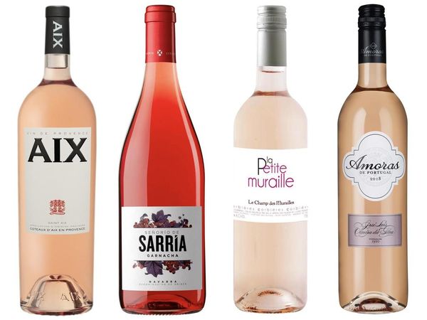 8 roses for spring and summer