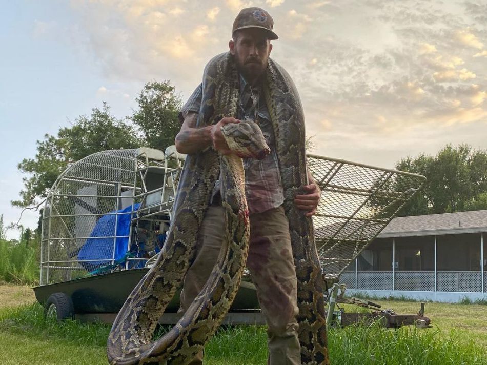 17-foot python captured in Florida Everglades