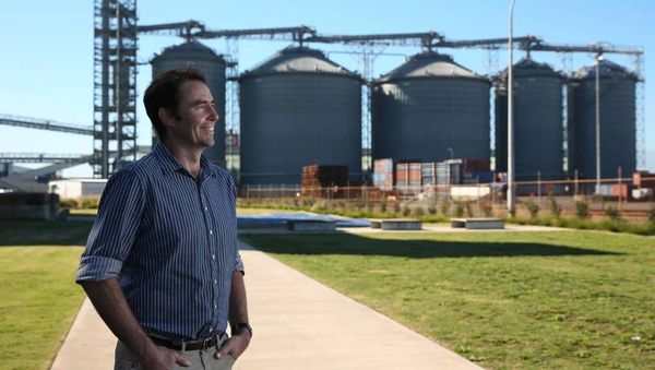 Hopes of grain export feast for Newcastle port after lean years