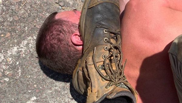 'Come on you dogs': attacker in Toronto police stabbing 'mentally ill'